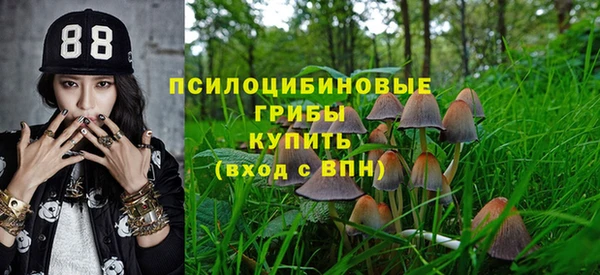 твердый Армянск
