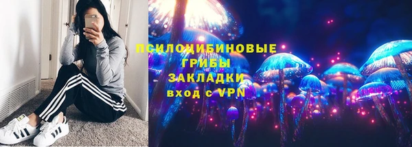 крисы Арсеньев