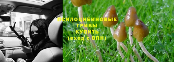 крисы Арсеньев