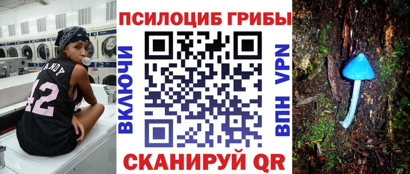 Псилоцибиновые грибы Psilocybe  Спас-Клепики 